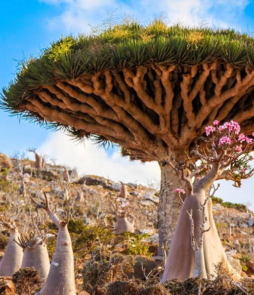 The Island of Beauty and Natural Wonders